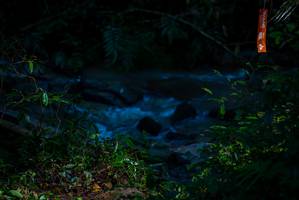 BIB: 
                            <button type="button" onclick="openModal(19306392)" class="btn btn-primary btn-sm float-right btn-popup" data-toggle="modal" data-target=".modal-high-quality">
                        <i class="fas fa-shopping-cart"></i> Add to Cart
                    </button>
                                            <button type="button" onclick="isThisMe(19306392, true)" class="btn btn-success btn-sm float-right btn-popup btn-isme hidden" data-toggle="tooltip" data-placement="bottom" title="นี่คือรูปของคุณใช่ไหม คลิกที่นี่เพื่อเอาเข้าอัลบั้ม">
                        <i class="fas fa-plus"></i> Add to album
                    </button>
                    <button type="button" onclick="isThisMe(19306392, false)" class="btn btn-warning btn-sm float-right btn-popup btn-isnotme hidden">
                        <i class="fas fa-ban"></i> Remove from album
                    </button>